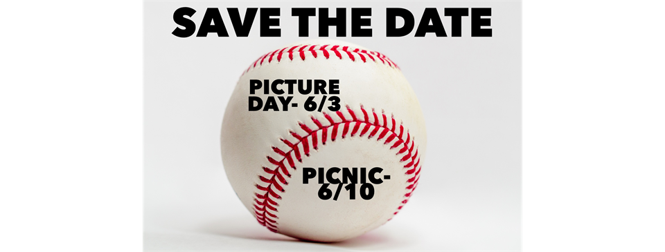 Picture/Picnic Day